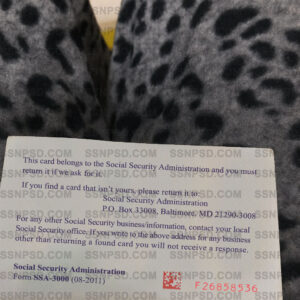Social Security Card Template back